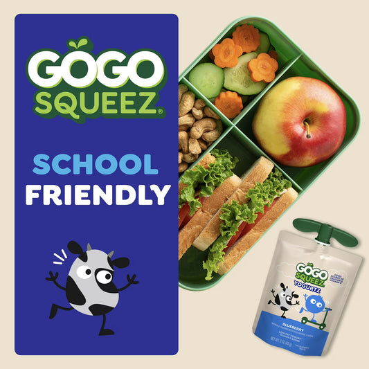 GoGo squeeZ Low Fat Yogurtz Blueberry and Berry Yogurt Snack Pouches, 3 oz (10 Pack)