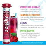 Zipfizz Energy Multi-Vitamin Hydration Drink Mix, Black Cherry, 20 ct.