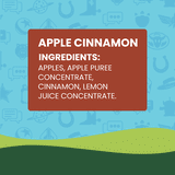 GoGo squeeZ No Sugar Added Apple Cinnamon Applesauce & Fruit Puree Pouches, 3.2 oz (10 Pack)
