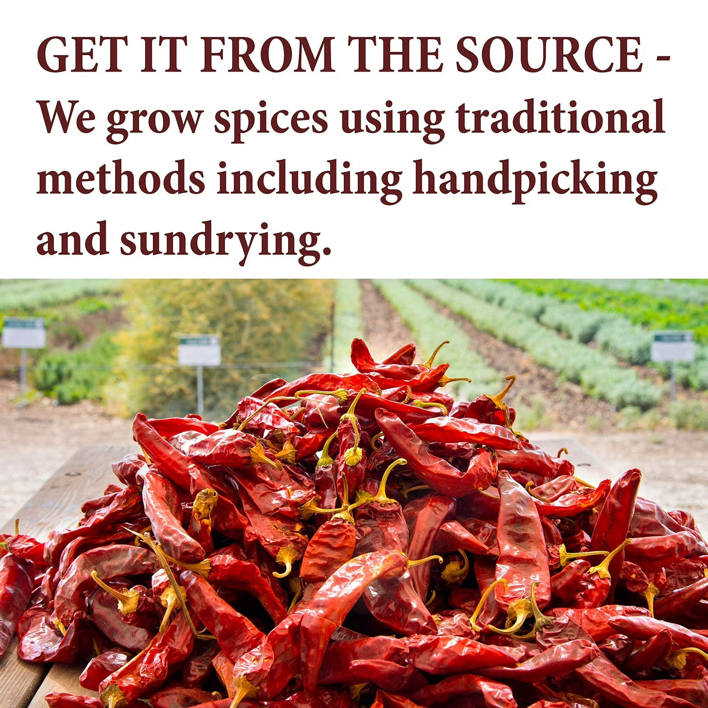 The Spice Way True Cinnamon Ceylon Powder, Gluten Free, Ground Ceylon Cinnamon - 6 Oz