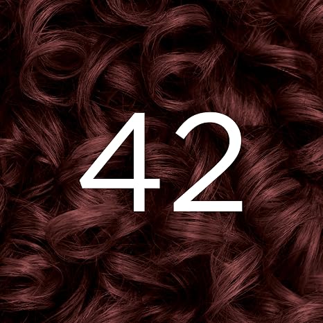 L’Oreal Paris Feria Multi-Faceted Shimmering Permanent Hair Color, High Intensity Hair Dye for 3X Highlights, 42 Burgundy Blush, 1 Hair Dye Kit (Pack of 2)
