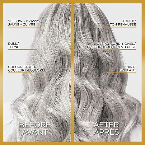 L’Oreal Paris Le Color Gloss One Step In-Shower Toning Hair Gloss, Neutralizes Brass, Conditions & Boosts Shine, Silver, 4 Ounce