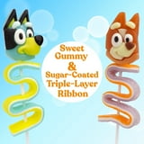 Bluey and Bingo Gummy Lollipops, Birthday Party Candy, Pack of 4, 2 of Each, 4.94 Ounces