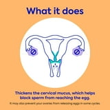 Opill Estrogen Free Birth Control, 3 Month