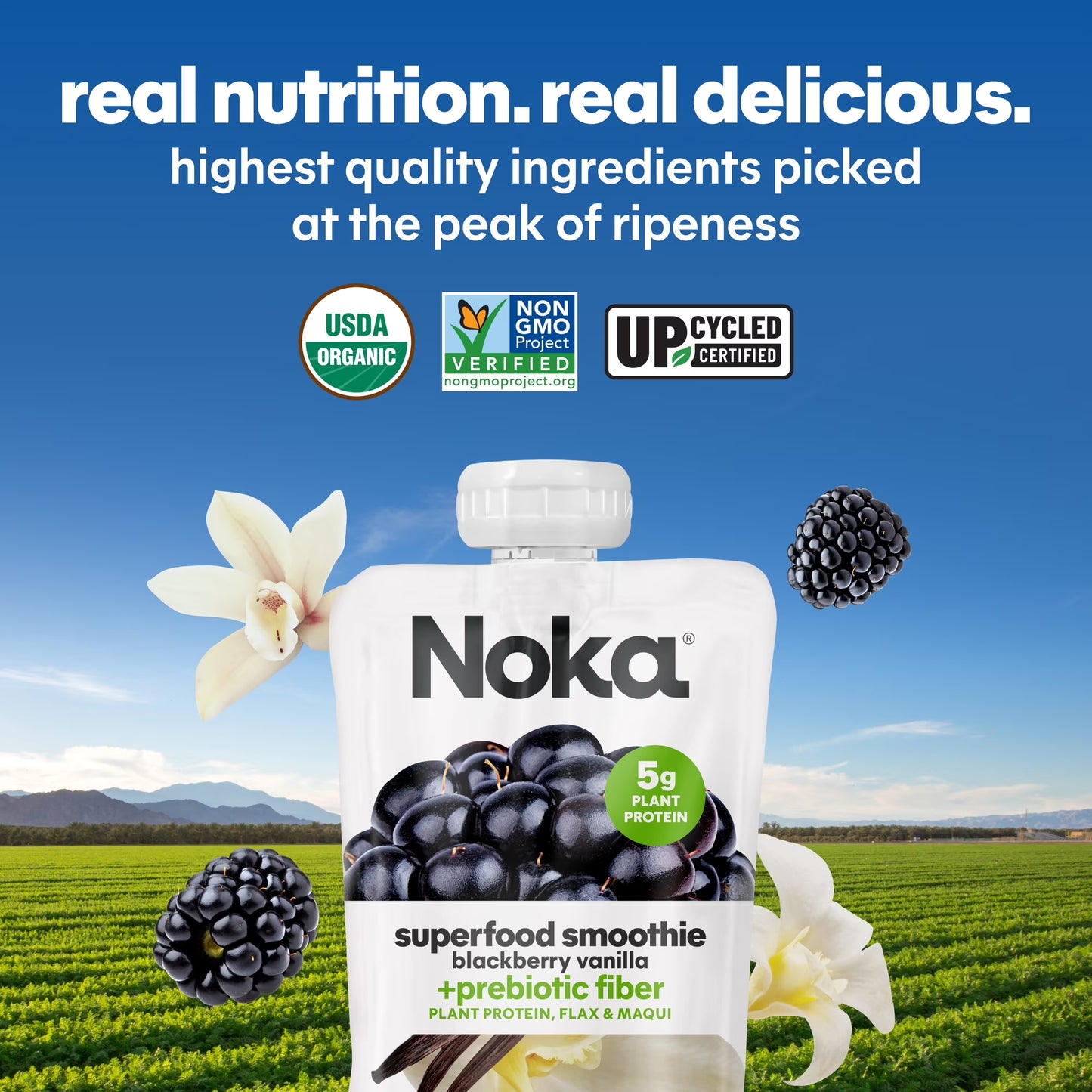 Noka Organic Superfood Smoothie Pouches, Plant Protein, Blackberry Vanilla, 4.22oz, 4 Pack
