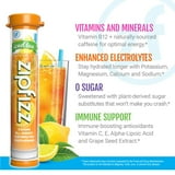 Zipfizz Energy Multi-Vitamin Hydration Drink Mix, Lemon Iced Tea, 20 ct.