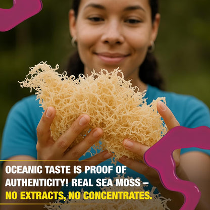 Sea Moss Gel – Elderberry 8oz Raw Wildcrafted Irish Sea Moss, Vegan Superfood, Essential Vitamins & Trace Minerals, Jam, Jelly & Spread Gifts, Made in the USA