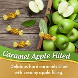 (4 pack) Werther's Original Hard Apple Filled Caramel Candy, 5.5 oz