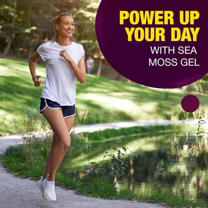Sea Moss Gel – Elderberry 8oz Raw Wildcrafted Irish Sea Moss, Vegan Superfood, Essential Vitamins & Trace Minerals, Jam, Jelly & Spread Gifts, Made in the USA