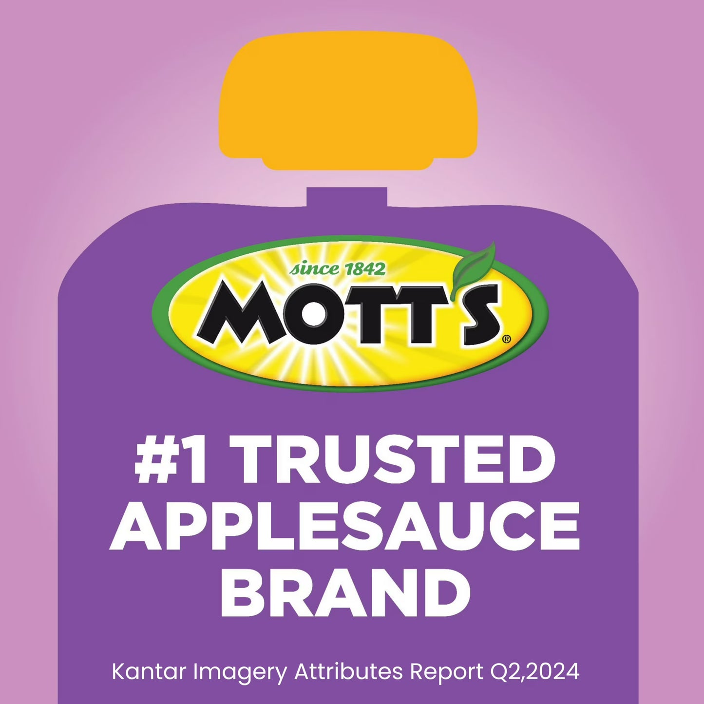 Mott’s No Sugar Added Dessert Dreamland Applesauce Variety Pack, 3.2 oz, 12 Count Clear Pouches