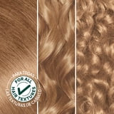 Garnier Nutrisse Nourishing Hair Color Creme, 080 Medium Natural Blonde Butternut