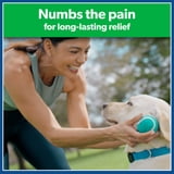 Salonpas Lidocaine Plus Pain Relieving No-Mess Roll On Liquid, 3 fluid oz