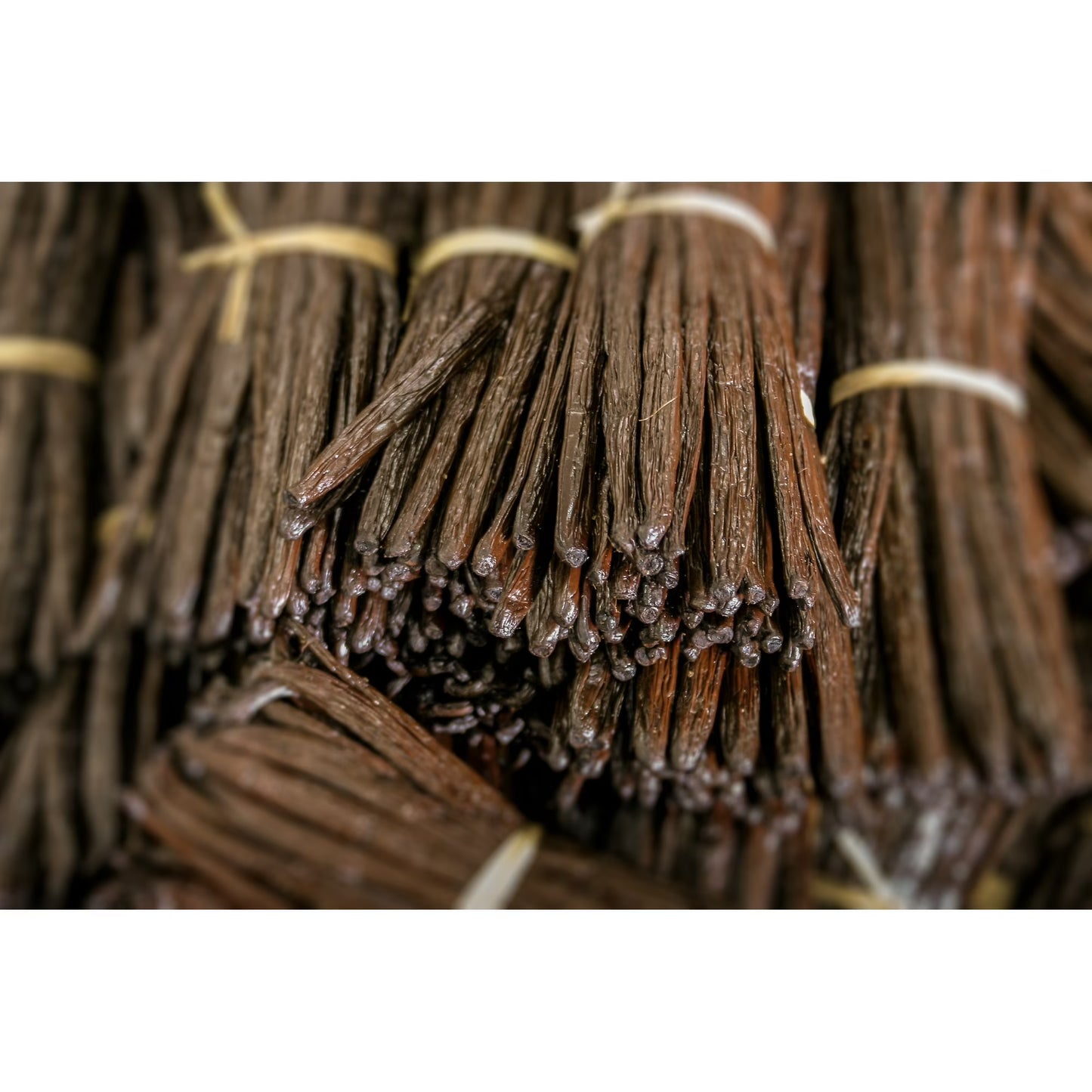 25 Organic Madagascar Vanilla Beans - Whole Grade A Vanilla Pods for Vanilla Extract and Baking