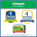 (2 pack) Salonpas Pain Relieving Patch, 60 Count (Pack of 1)
