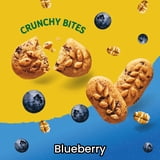 belVita Bite Size Snacks, Blueberry Crunchy Bites, 10 - 1 oz Snack Packs