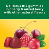 Nature Made B12 Extra Strength Gummies, 220 ct.