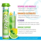 Zipfizz Energy Multi-Vitamin Hydration Drink Mix, Limon, 20 ct.