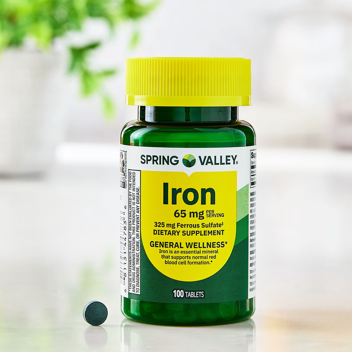 (3 pack) Spring Valley Iron General Health & Wellness Dietary Supplement Tablets, 65 mg, 100 Count