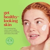 Burt's Bees Calming Day Face Lotion With Aloe and Rice Milk, 1.8 oz.