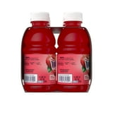 Welch's Fruit Punch Juice Drink, 10 fl oz On-the-Go Bottle (Pack of 6)