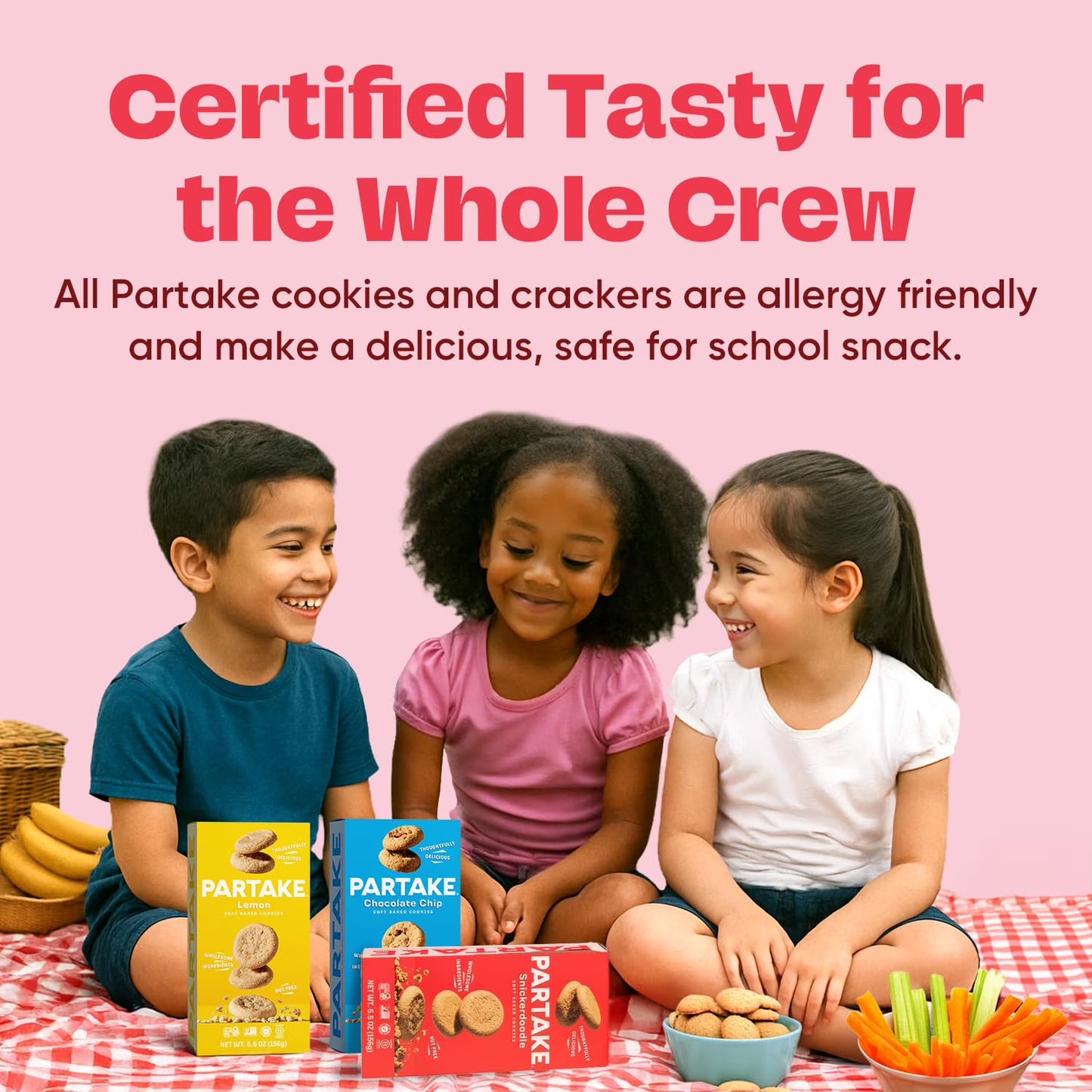 Gluten Free Partake Cookies & Cracker Variety Pack (Soft Baked Chocolate Chip, Classic Graham Cracker, Vanilla Wafer) - Vegan - Free From the Top 9 Allergens - (3 Pack, 5.5oz Boxes)