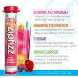 Zipfizz Energy Multi-Vitamin Hydration Drink Mix, Fruit Punch, 20 ct.