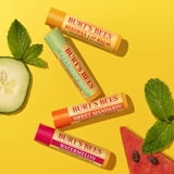 Burt's Bees Lip Balm Pack, Freshly Picked 4 Pack, 0.15 Ounce Tubes