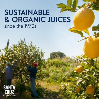 (2 pack) Santa Cruz Organic 100% Pure Lemon Juice, 16 Fluid Ounces