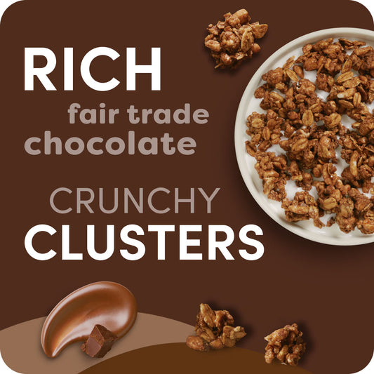 Kashi GO Chocolate Crunch Protein Cereal Box, 16 oz