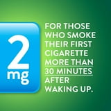 Member's Mark Nicotine Uncoated Gum, Original Flavor, 190 ct., 2 pk.