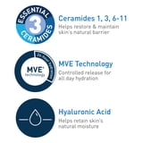 CeraVe Hydrating Facial Cleanser for Normal to Dry Skin, Daily Face Wash for Dryness, 12 fl oz