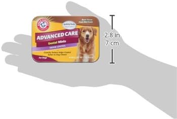 Arm & Hammer, Dog Dental Mints, Tartar Control, Beef Flavor, 40 Count