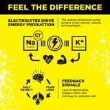 LMNT Zero Sugar Electrolyte Drink Mix - Lemonade - 6 Count