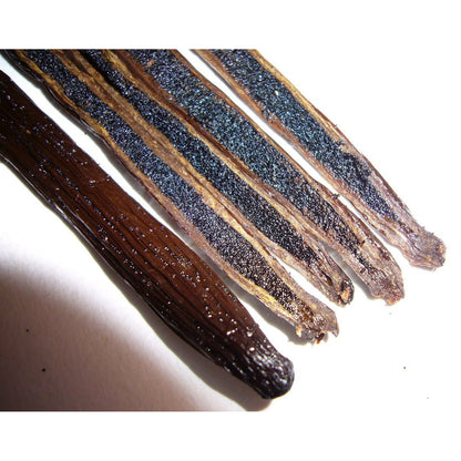 10 Organic Madagascar Vanilla Beans - Whole Grade A Vanilla Pods for Vanilla Extract and Baking