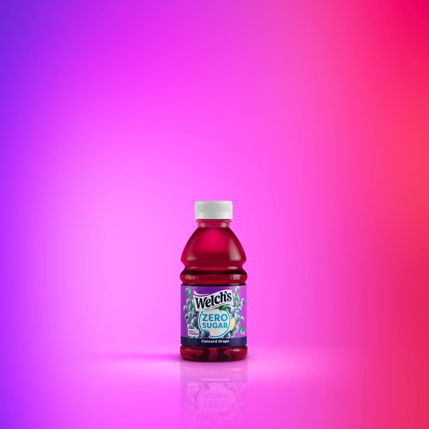 Welch's Concord Grape Zero Sugar Drink, 10 fl oz Bottle