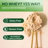 BetterBody Foods Organic Plant Based Protein Powder, 16g of Protein 24% DV, Vegan, 12.7 oz