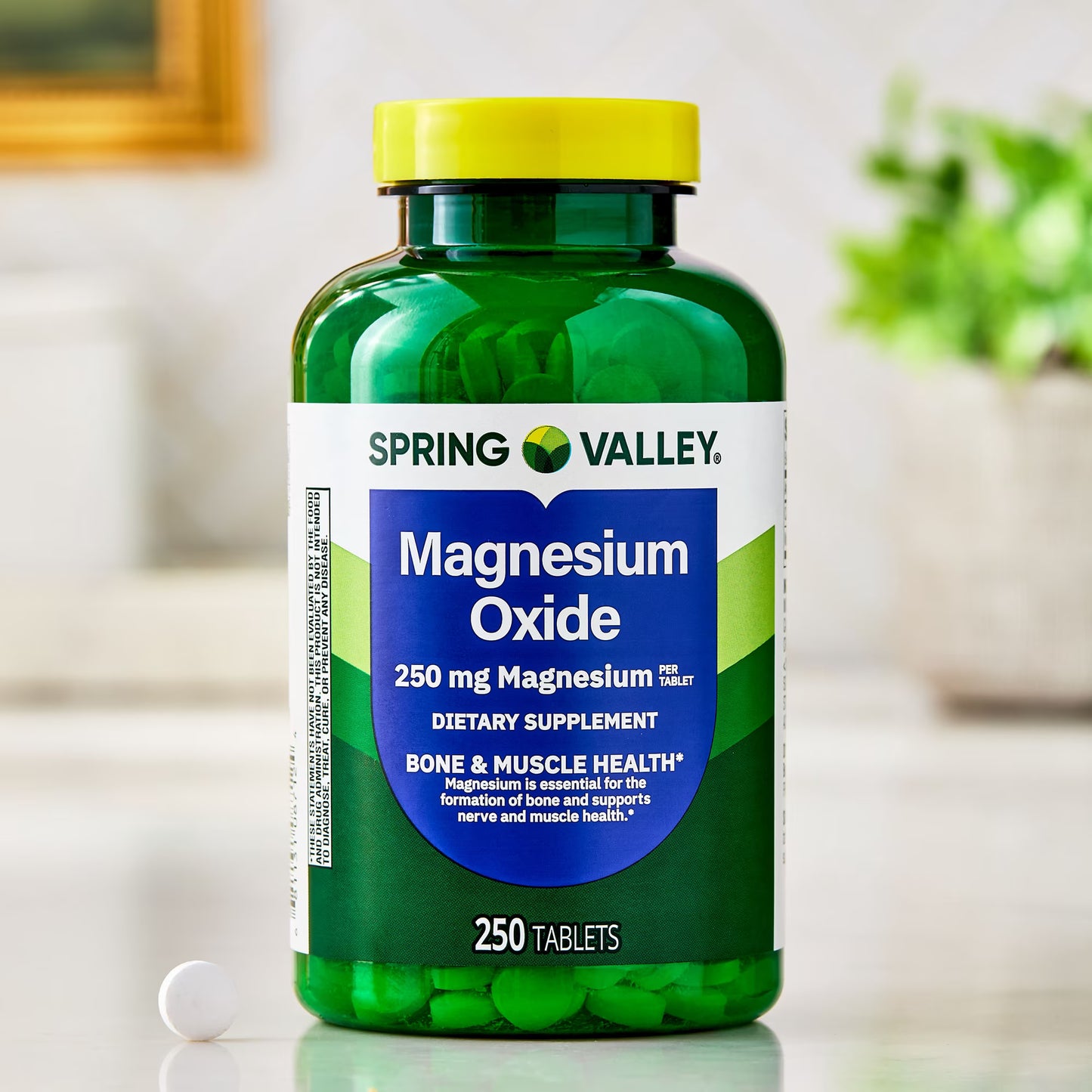 (3 pack) Spring Valley Magnesium Dietary Supplement Tablets for Bone and Muscle Health, 250 mg, 250 Count