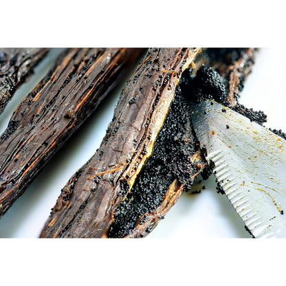 Organic Vanilla Extract - Made with Madagascar Vanilla Beans – For Baking, Desserts, Home Cooking and Chefs - 10 GALLONS
