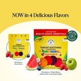 BeeKeeper's Naturals Kid's Propolis Throat Soothing Pops, 30 ct.