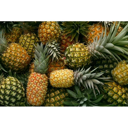Organic Dried Pineapple Rings, 2 Pounds — Non-GMO, Kosher, Raw, Vegan — by Food to Live