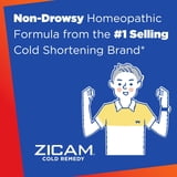 Zicam Cold Remedy Rapidmelts, Citrus Flavor, 36ct