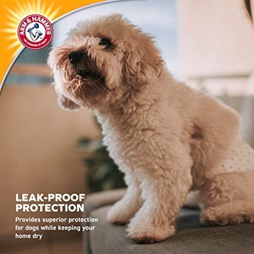 Arm & Hammer Disposable Female Dog Diapers, Small, 12 Count, 6-Pack