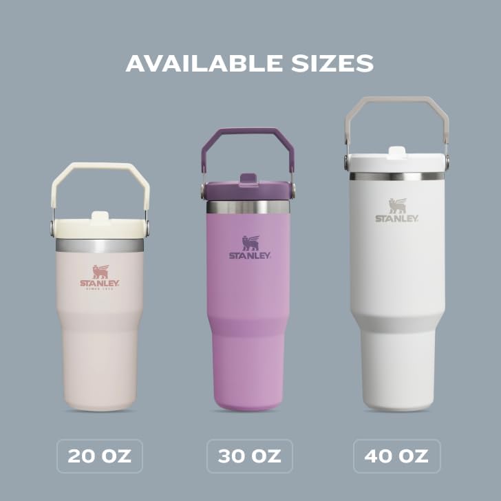 Stanley IceFlow Flip Straw Tumbler with Handle 20 oz | Twist On Lid and Flip Up Straw | Leak Resistant Water Bottle | Insulated Stainless Steel |BPA-Free | Pomelo