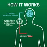 Biofreeze Large Menthol Pain Patch, 15 ct.