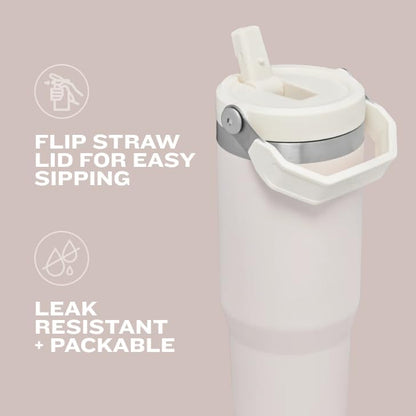 Stanley IceFlow Flip Straw Tumbler with Handle 20 oz | Twist On Lid and Flip Up Straw | Leak Resistant Water Bottle | Insulated Stainless Steel |BPA-Free | Plum