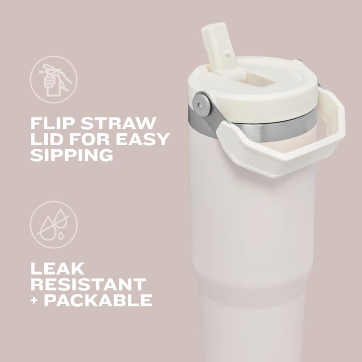 Stanley IceFlow Flip Straw Tumbler with Handle 20 oz | Twist On Lid and Flip Up Straw | Leak Resistant Water Bottle | Insulated Stainless Steel |BPA-Free | Pomelo