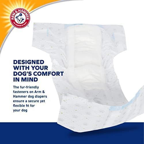 Arm & Hammer Disposable Female Dog Diapers, Small, 12 Count, 6-Pack