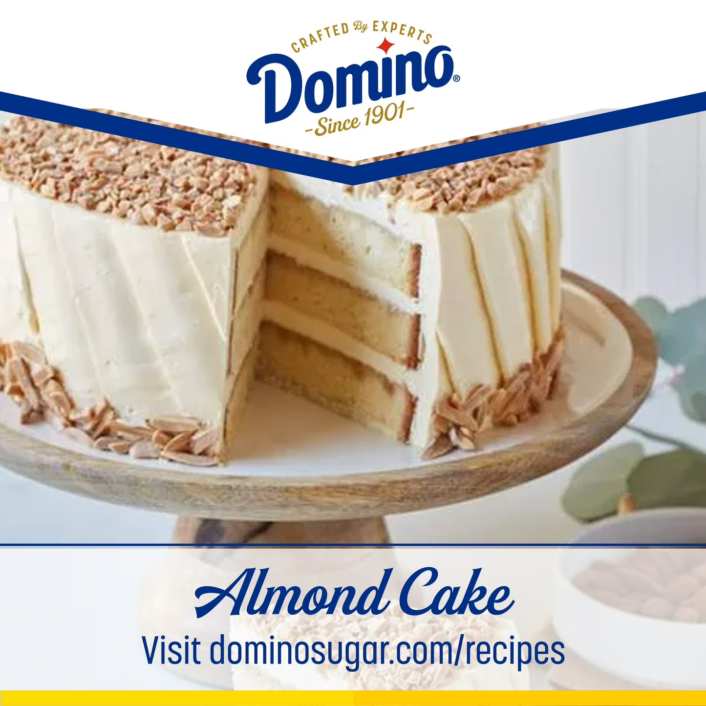 Domino Pure Cane Ultrafine Granulated Baker's Sugar 3.5 lb Tub