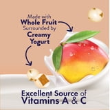 (6 pack) Welch's Fruit 'N Yogurt Blueberry-Acai. & Mango-Peach Soft Fruit Snacks, .7 oz, 20 Count