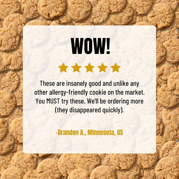 Every Body Eat Ginger Cinnamon Crunchy Cookie Bites - Gluten Free, Dairy Free, Vegan, Seed Oil Free, Allergy Friendly (5oz Pack of 3)
